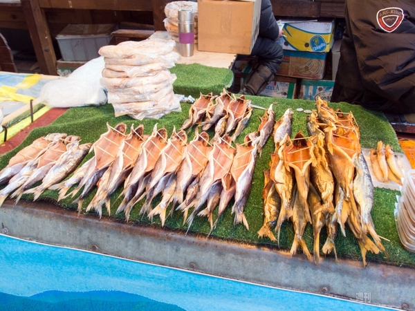 SIMフリースマホと大陸横断の旅04