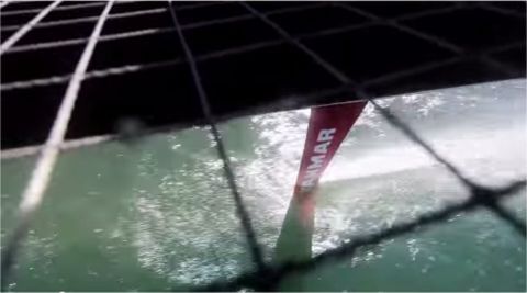 アメリカズカップ