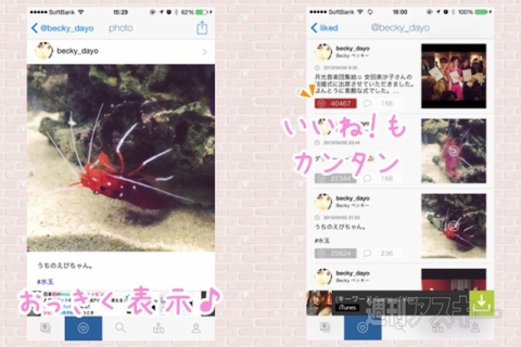 ローラのInstagram投稿を見逃さないiPhoneアプリ『LIKEGRAPHY』