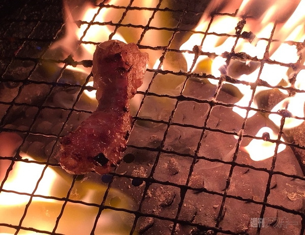 ナベコの取材日記