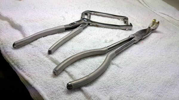 ダニー・チューの世界OTAKU紀行14