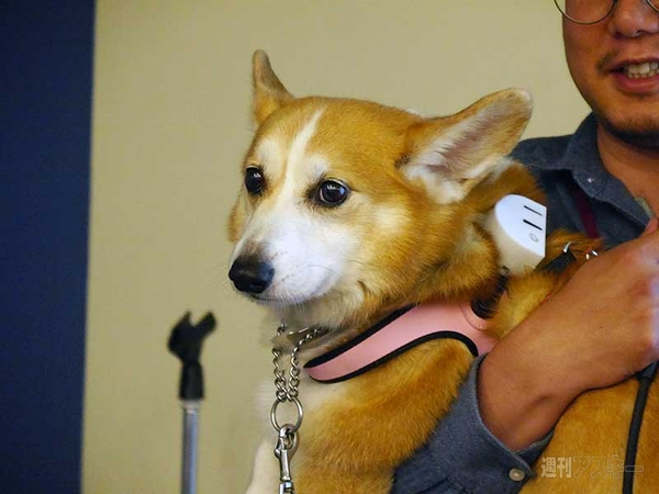 DMM.make AKIBA 0.5周年記念懇親会