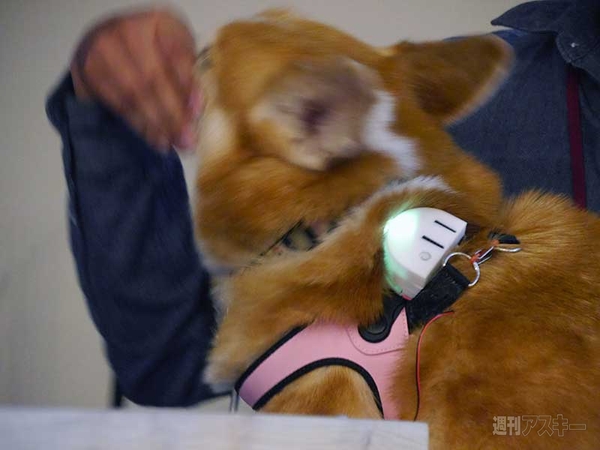 DMM.make AKIBA 0.5周年記念懇親会