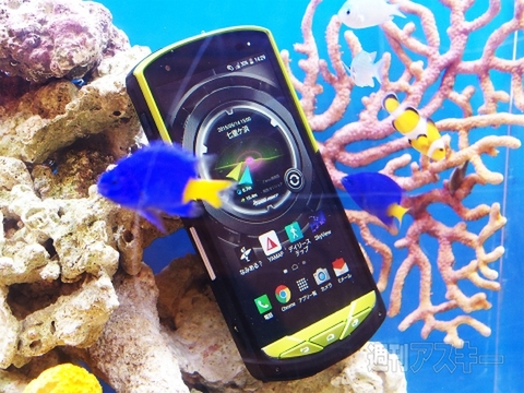 Windows情報局ななふぉ出張所