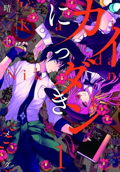 カイダンにっき