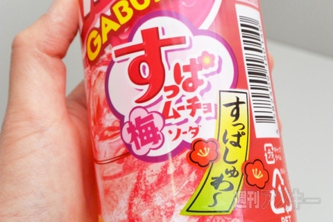 すっぱムーチョ