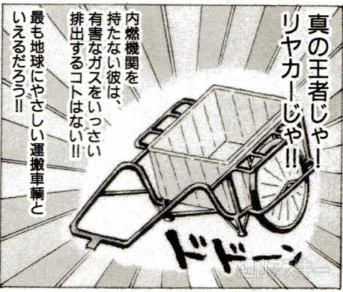 カオスだもんね！