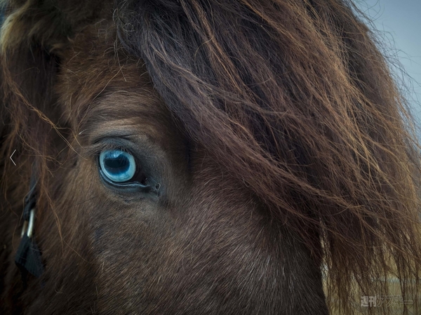 iPhone 6の写真を一眼並み画質するカメラ型ガジェット『DxO One』