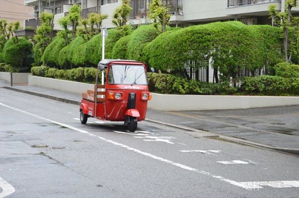 日本エレクトライク