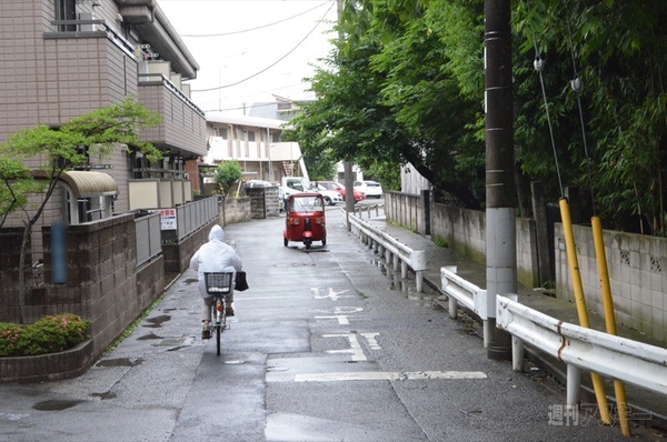 日本エレクトライク