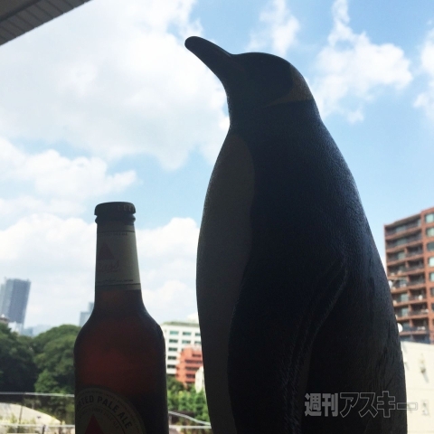 ナベコの取材日記