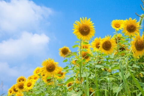 防水アイテムまとめ