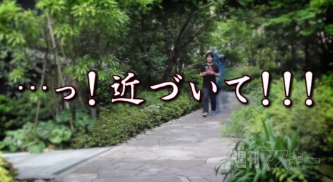 ウメハラ　ニコ生出演