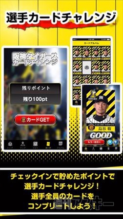 めざせ！Mr.Tigers