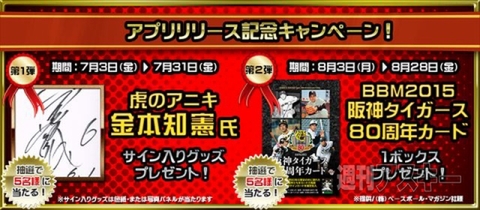 めざせ！Mr.Tigers