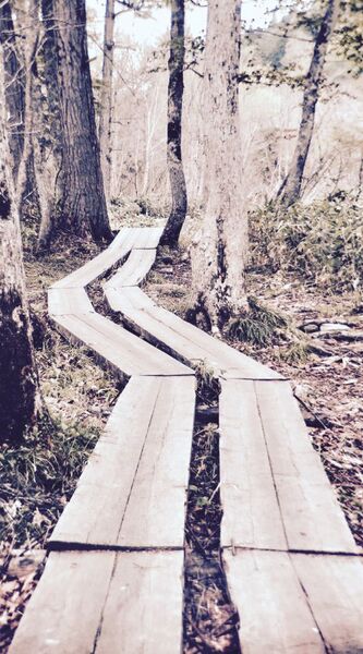 究極の壁紙シリーズ