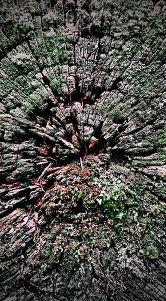 究極の壁紙シリーズ