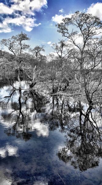 究極の壁紙シリーズ