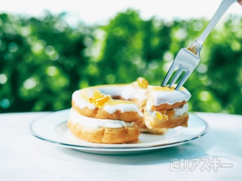 ミスターサマードーナツ