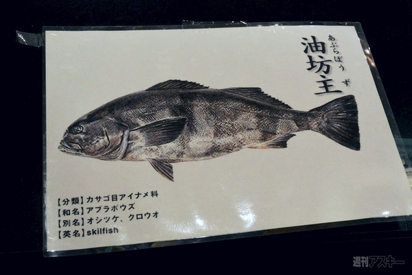 東京ウォーカークーポン紀行