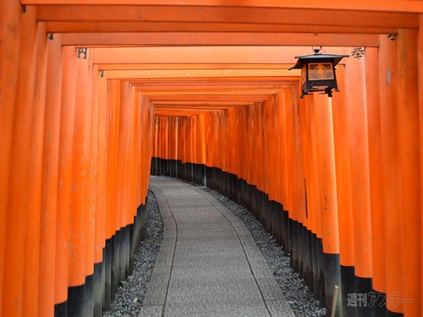 『SmartWatch 3 SWR50』