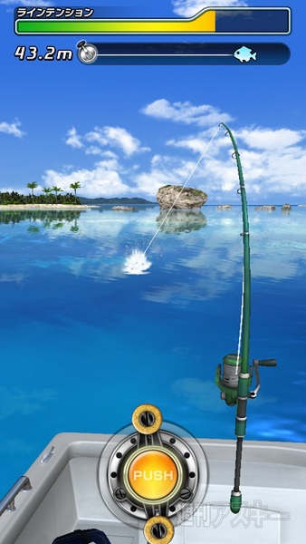 サカナコネクション