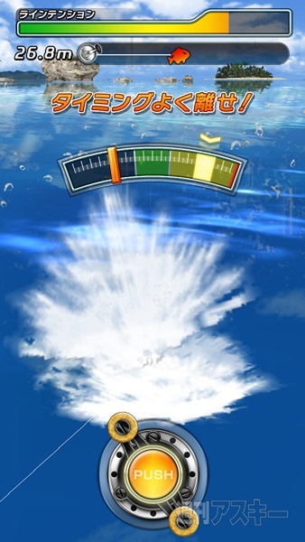 サカナコネクション