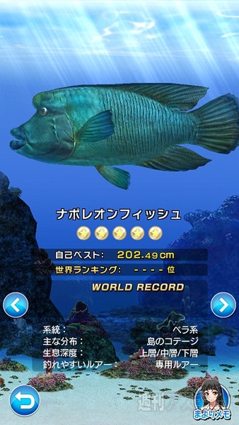 サカナコネクション