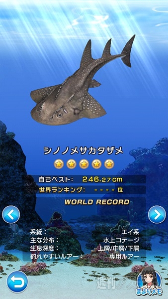 サカナコネクション