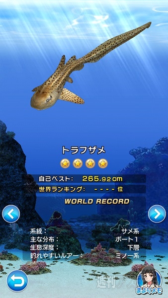 サカナコネクション