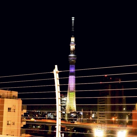 ヤフーの日キャンペーン