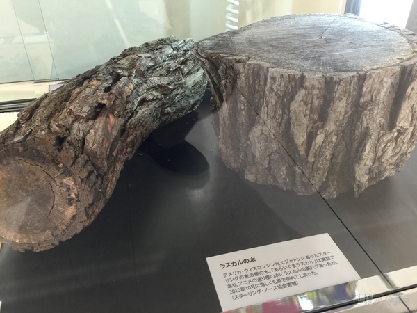 日本アニメーション「世界名作劇場展」に行ったらやっぱり良すぎた件