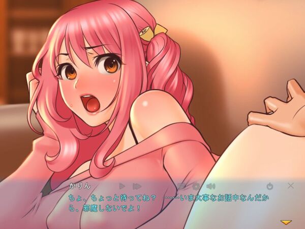 姉とプリンセスは嫌われたくない。