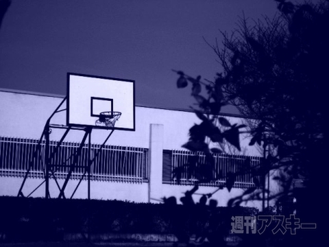 ナベコの取材日記