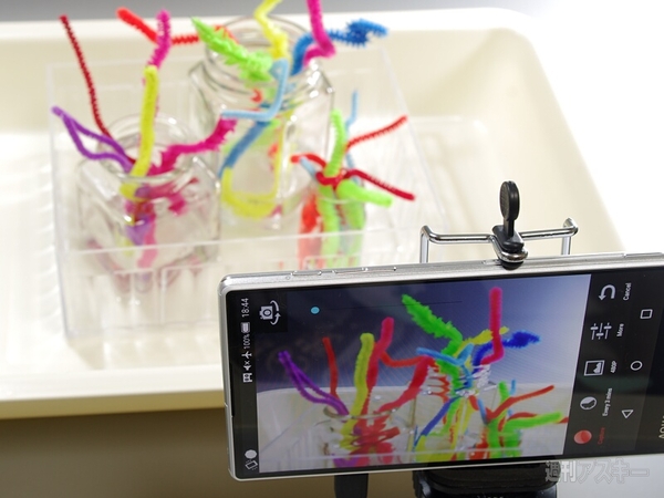 結晶の花を咲かせよう