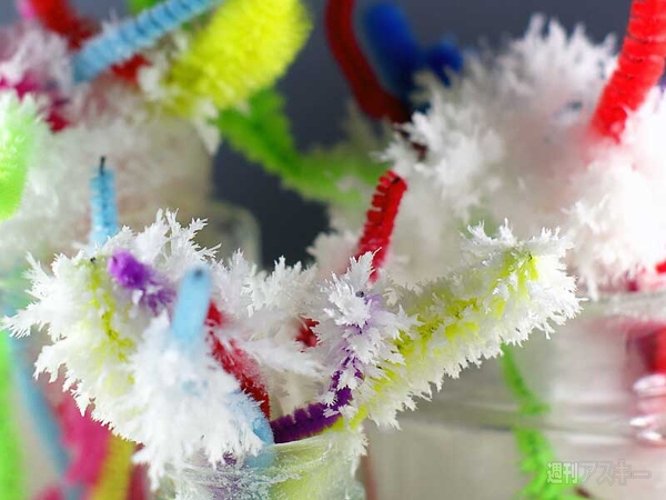 結晶の花を咲かせよう