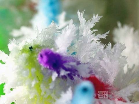 結晶の花を咲かせよう