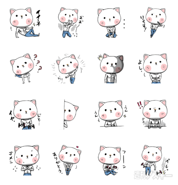 11日：今日は何の日