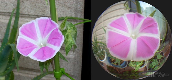 ドアスコープでスマホ用魚眼レンズをつくる