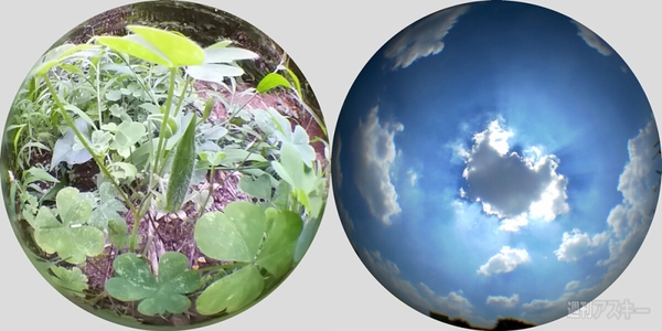 ドアスコープでスマホ用魚眼レンズをつくる