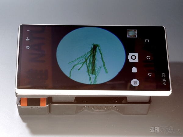 スマホで自由研究03