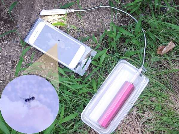 スマホで自由研究03