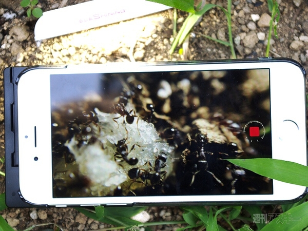 スマホで自由研究03