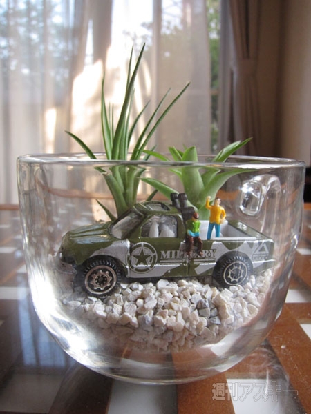 夏休みの自由研究にも！100均でつくるテラリウム【カオスだもんね！】