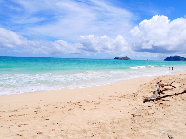 究極防水バッグ