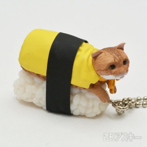 ナベコの取材日記