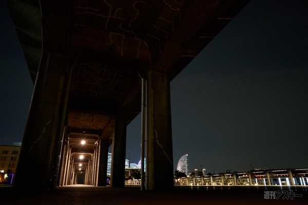 カーツァイスBatis 2/25