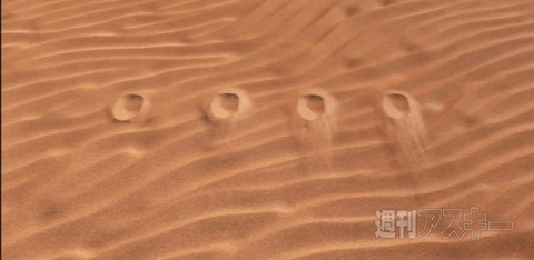 アンチャーテッド コレクション