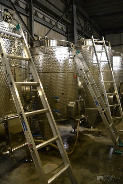 ナベコの取材日記