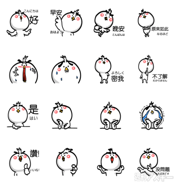 21日：今日は何の日